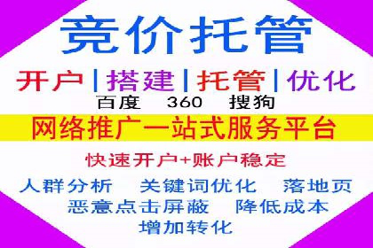 Sem优化公司成功案例：快速占领市场